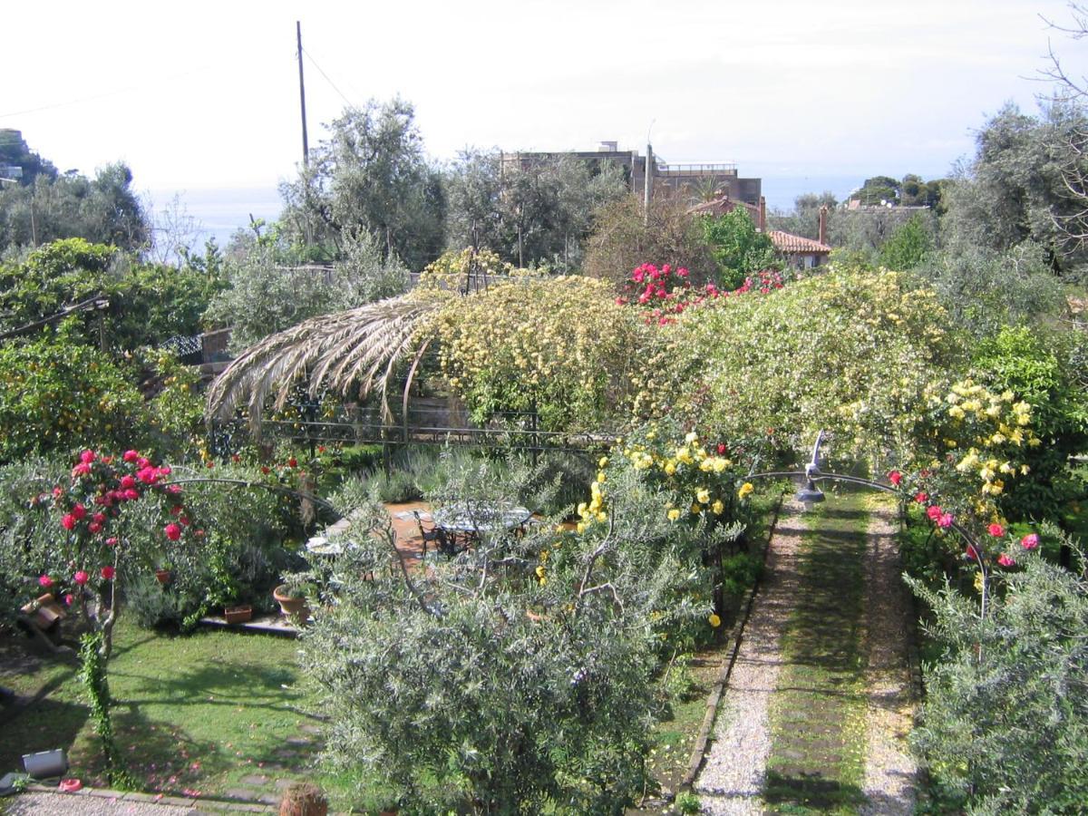 Suite Lidia B&B Σορέντο Εξωτερικό φωτογραφία
