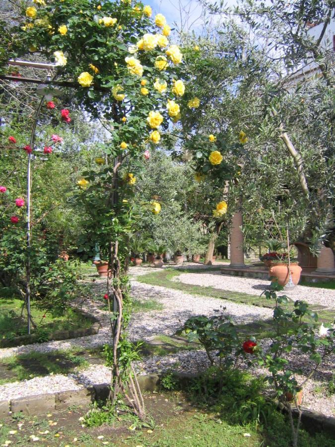 Suite Lidia B&B Σορέντο Εξωτερικό φωτογραφία