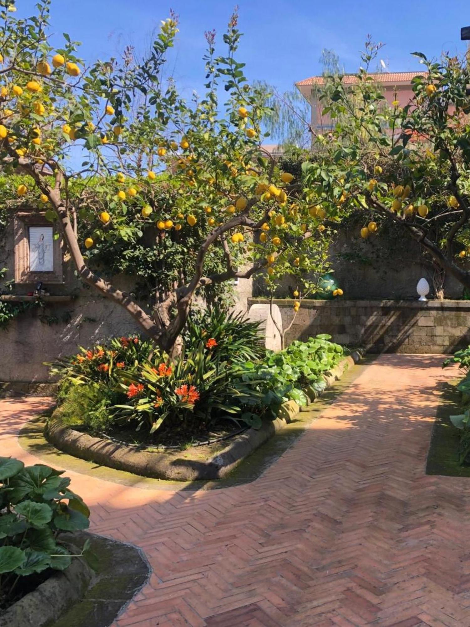 Suite Lidia B&B Σορέντο Εξωτερικό φωτογραφία