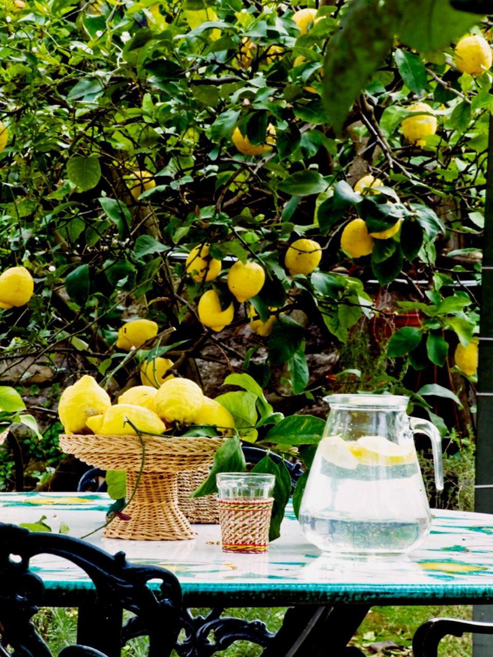 Suite Lidia B&B Σορέντο Εξωτερικό φωτογραφία